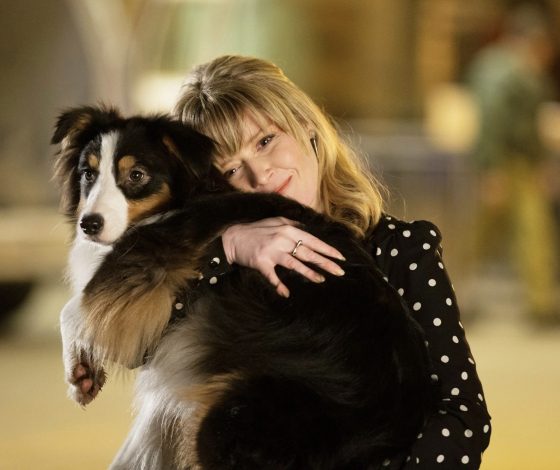 Звезда родилась: собака-художник покорила своими работами интернет-пользователей