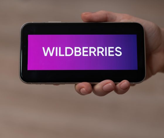 Забастовка, петиция и штрафы: к чему готовятся сотрудники Wildberries и почему?