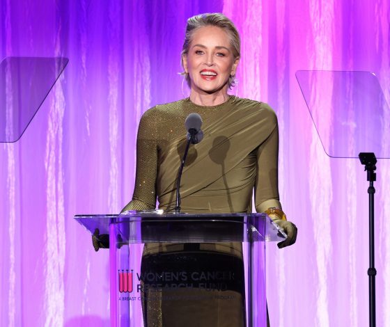 Шэрон Стоун потеряла половину своего состояния