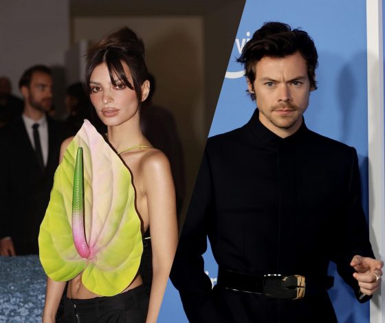 «Звездная муза»: Гарри Стайлс еще девять лет назад был влюблен в Эмили Ратаковски