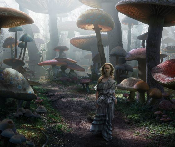 Тест: какой ты гриб?