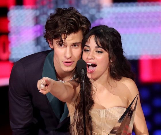 Камила Кабейо и Шон Мендес воссоединились