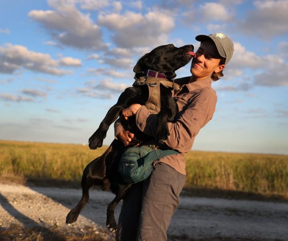 История дня: ветеринары вылечили собаку от алкоголизма