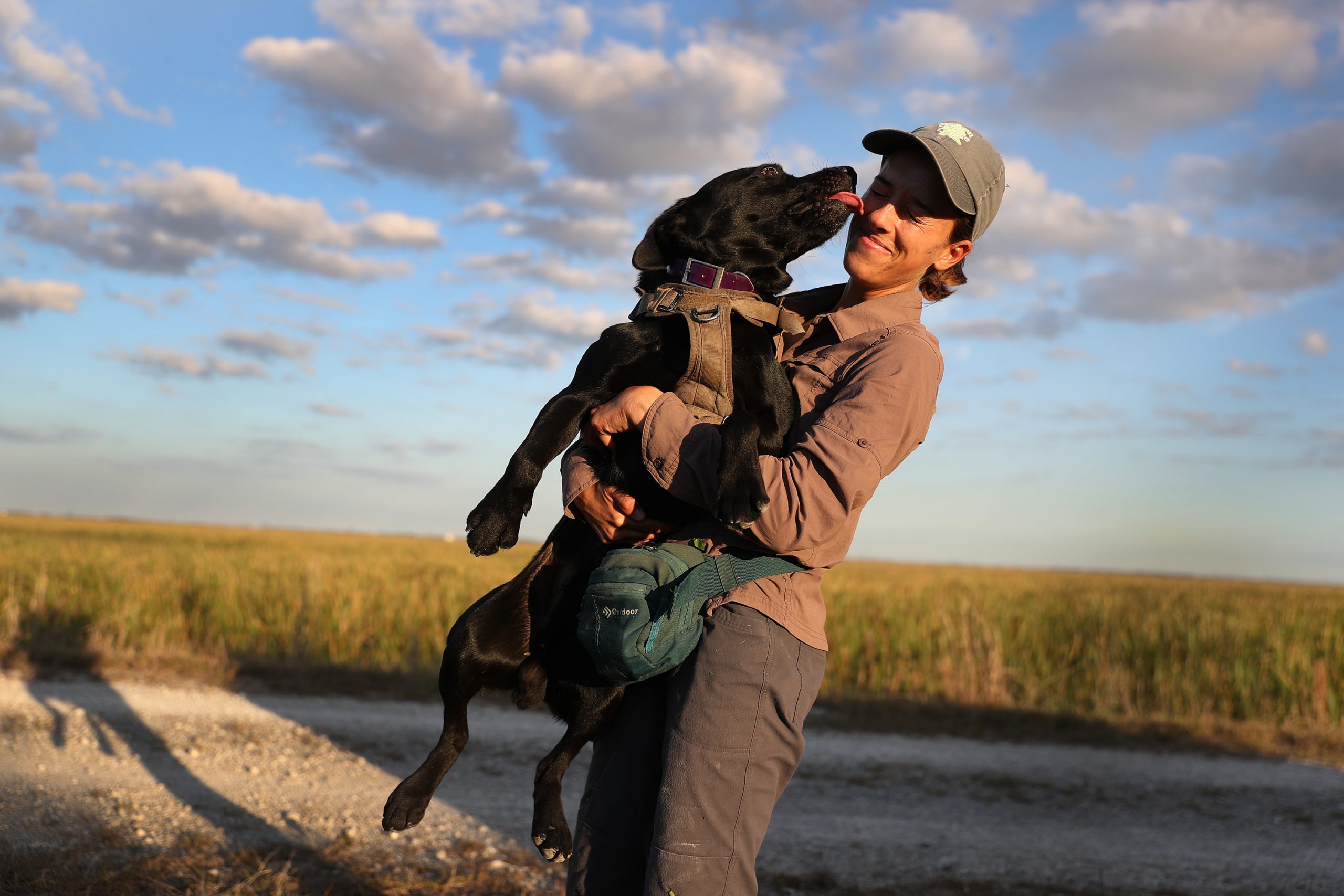 Story of the Day: Veterinarians saved dog from alcoholism