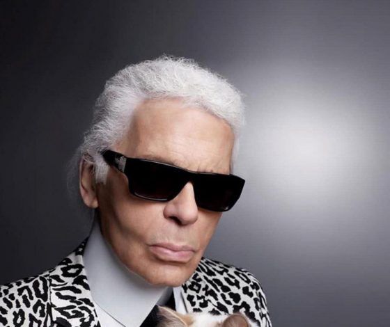 Лучшая жизнь: Кошка Карла Лагерфельда получила приглашение на Met Gala