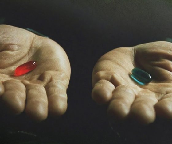 Загадочная ашваганда: что это такое и почему ее продажа запрещена в России?