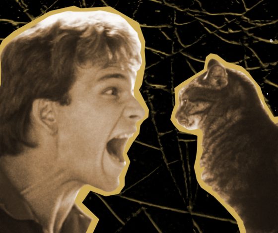 Чужая жизнь: в чем истинная причина раздражительности и выгорания?