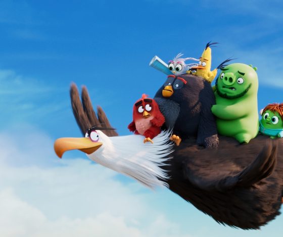 Тест: какая ты птица?