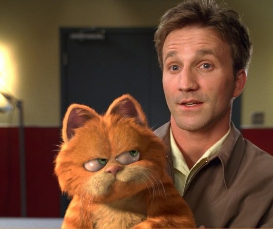 Тест: любит ли тебя твой кот?