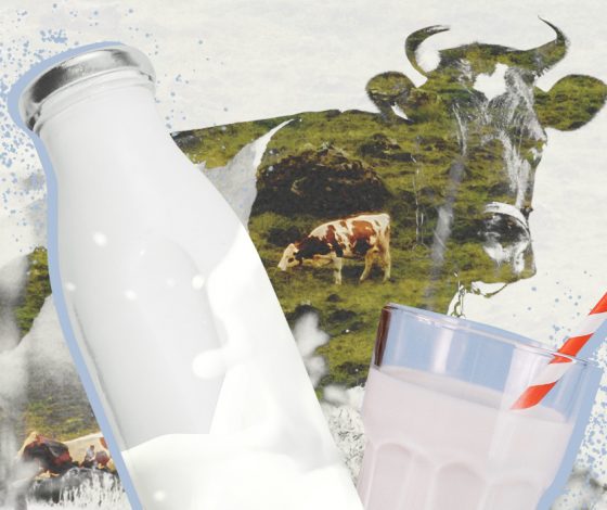 (Не) пейте, дети, молоко, будете здоровы: правда ли, что нам всем пора  отказаться от лактозы, чтобы хорошо себя чувствовать?