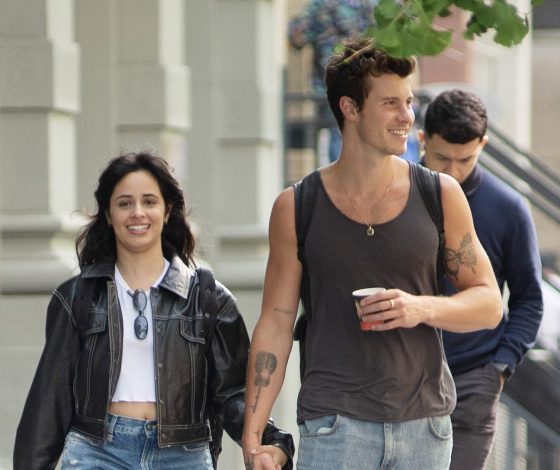 «В будущем ему предстоит много учиться»: инсайдер рассказал, почему Шон Мендес и Камила Кабейо расстались