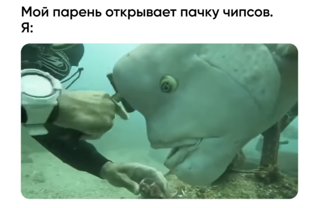 Рыба с человеческим лицом случайно попала на видео, напугав пользователей Сети