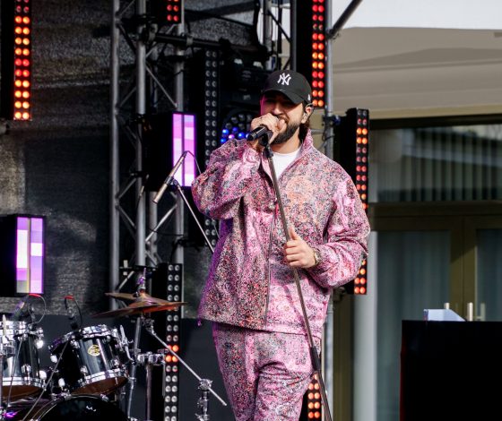 Эмин Агаларов, Наталья Бардо, Elman и другие на Summer Music Fest 