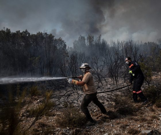 Лесные пожары охватили три провинции Турции