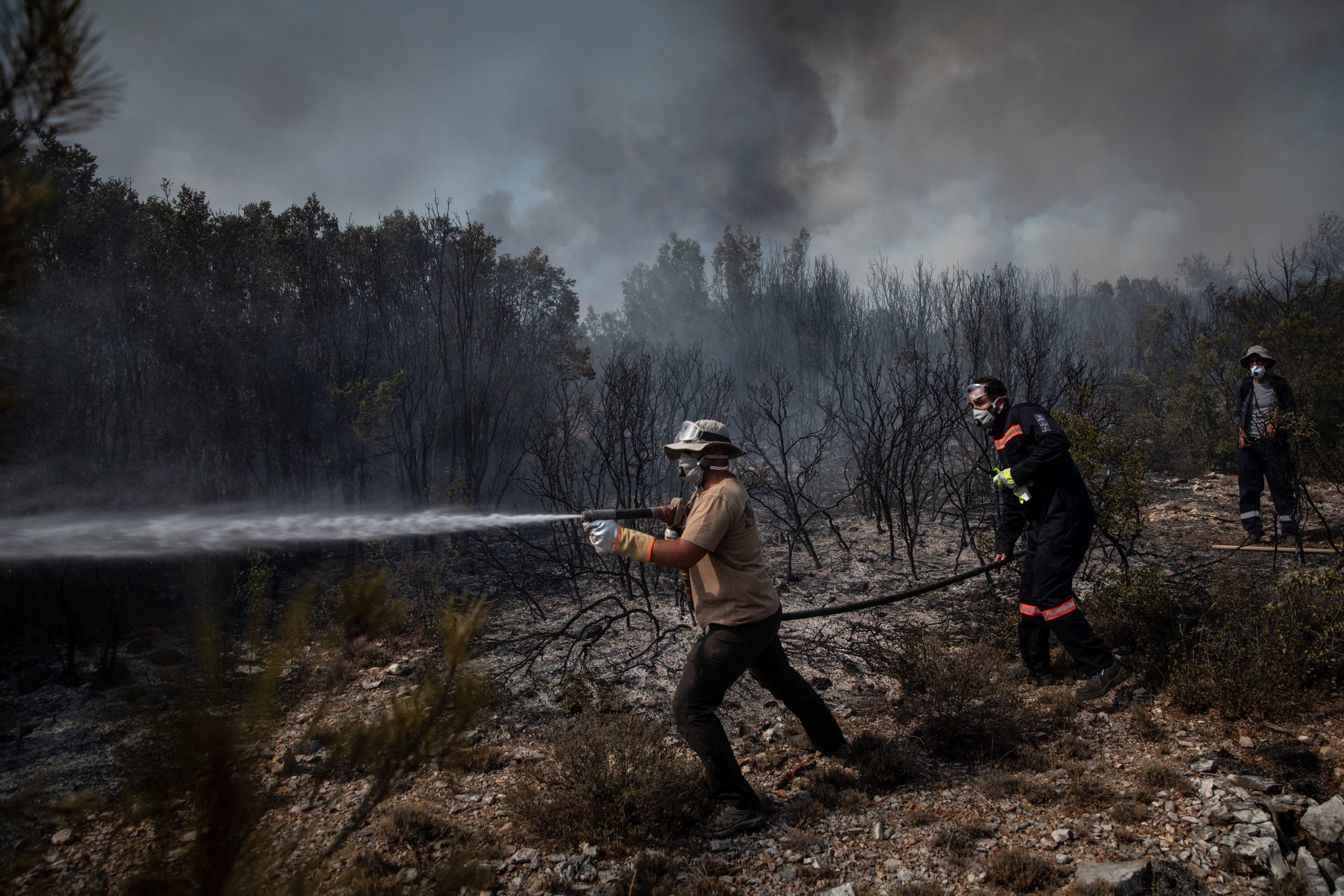 Forest fires gripped three provinces in Turkey