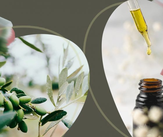 От лаванды до розмарина: большой гид по аромамаслам