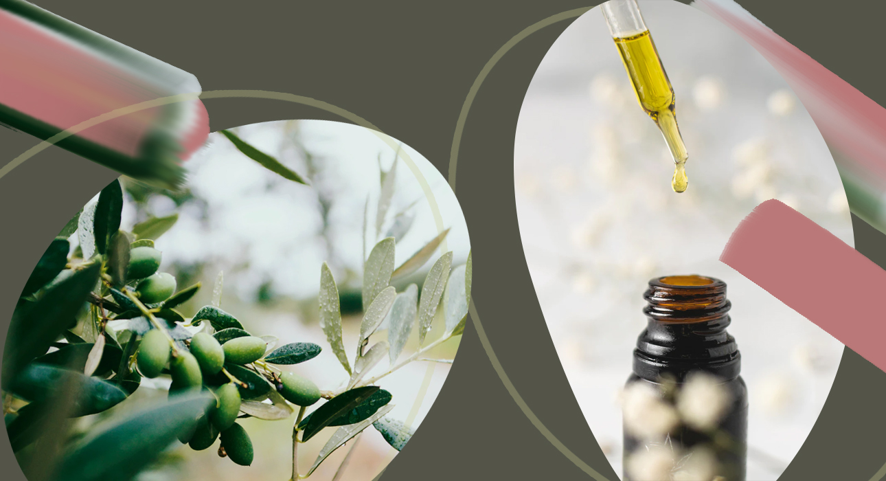 From lavender to rosemary: a great guide to essential oils