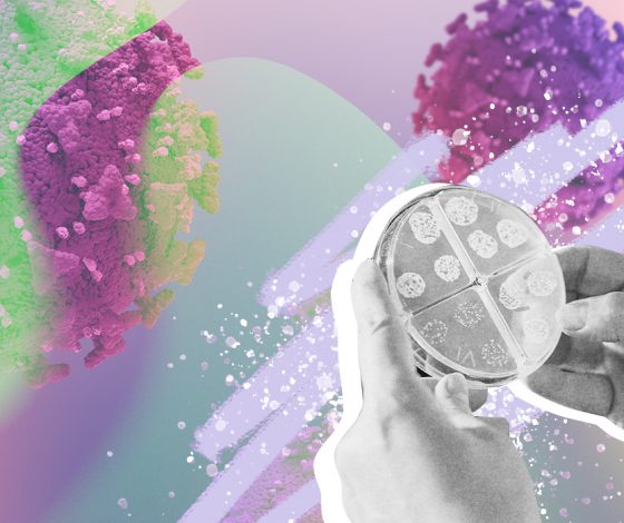 3 правила, как уберечь себя от кишечной инфекции этим летом