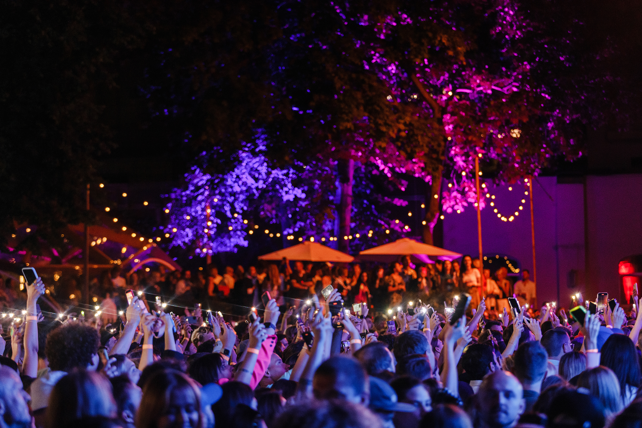 Chess & Jazz – 2023: How will the festival go this year?