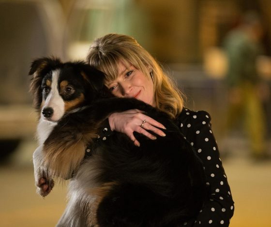 Милота дня: 200 собак пришли поздравить мужчину со 100-летием