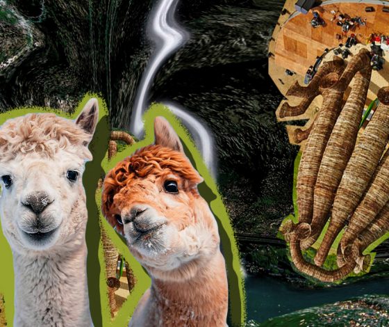 Места, о которых ты не знал: тревел-гид для искушенных путешественников