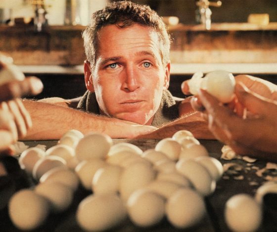 Можно ли есть яйца на завтрак каждый день?