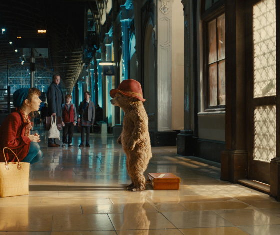 5 городов России, где медведя можно встретить на улице