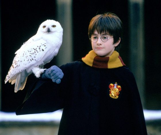 Тест: хорошо ли ты ориентируешься в Хогвартсе?