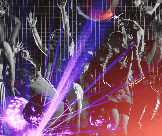 Signal 2023: гид по фестивалю