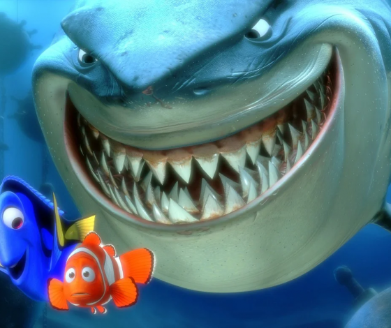 Акулы атаковали катамаран с россиянами в Тихом океане