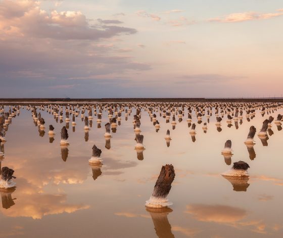 Чем заменить соль в еде: топ-10 вариантов﻿