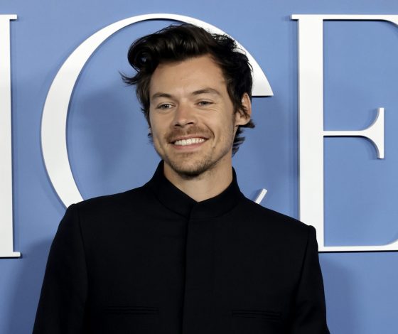 Гарри Стайлс вышел с новой прической. Куда делись волосы