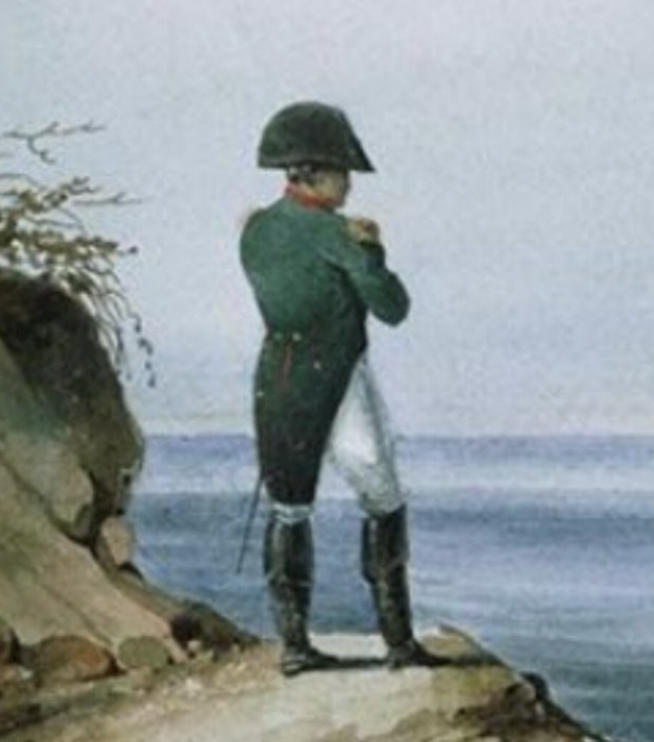 Наполеон Бонапарт стал героем нового тренда в TikTok
