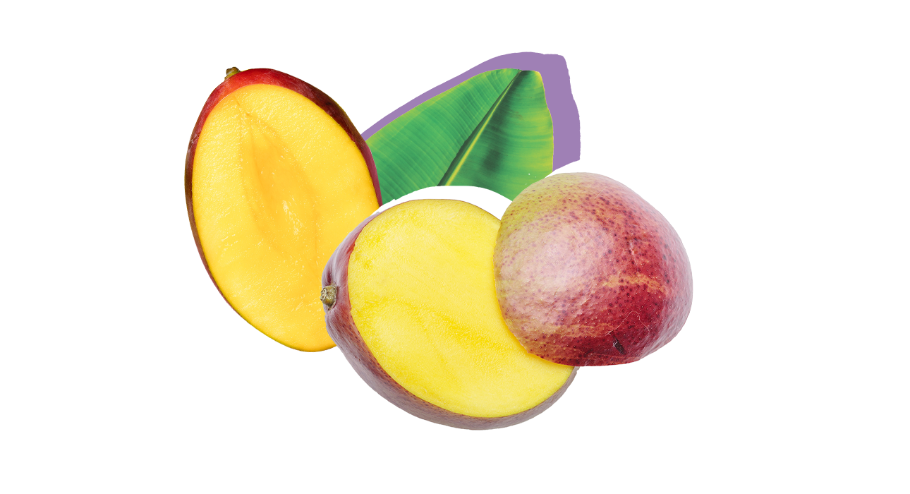 Манго польза фрукта. Манго твердый дозреет. Откуда берется манго. Как понять что манго поспело. Как получить фрукт Будду промокод на фрукты.