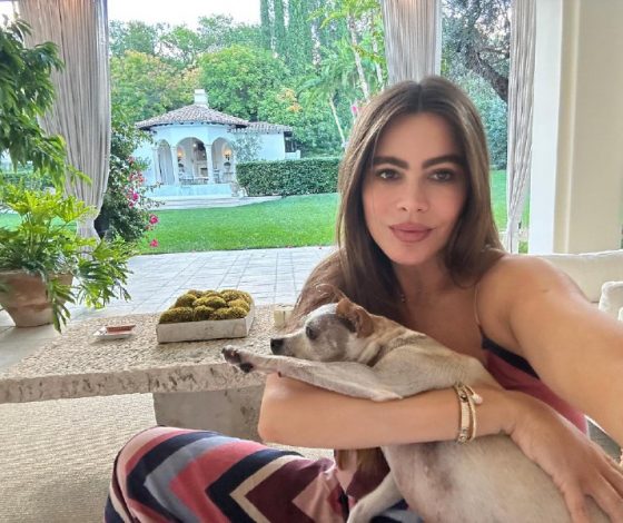 «Убедитесь, что вы нашли красивого доктора»: София Вергара показала своего нового бойфренда