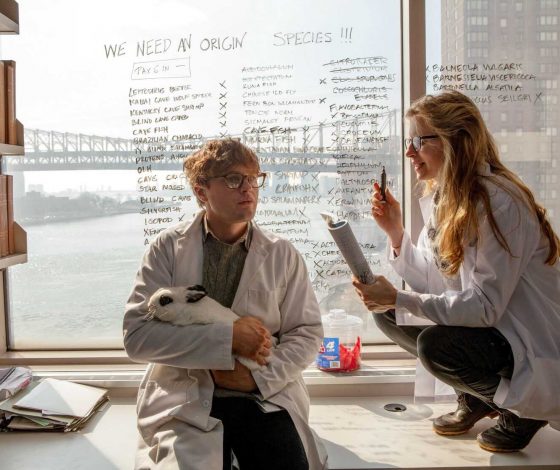 Ученые из Швейцарии нашли в организме человека новый орган