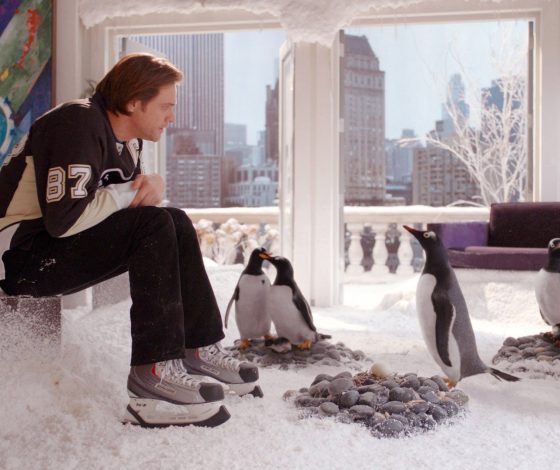 Милота дня: пингвиненок Песто стал звездой соцсетей