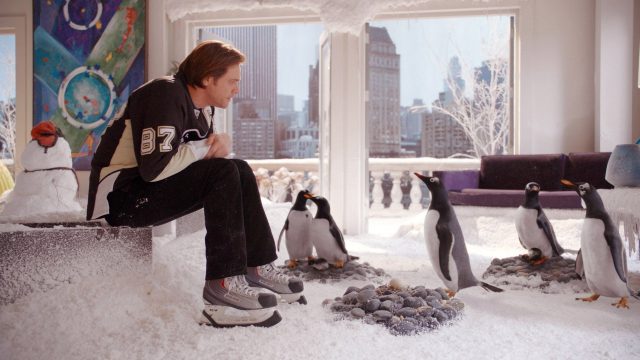 Пебблинг: вирусная романтическая тенденция, которую люди украли у пингвинов