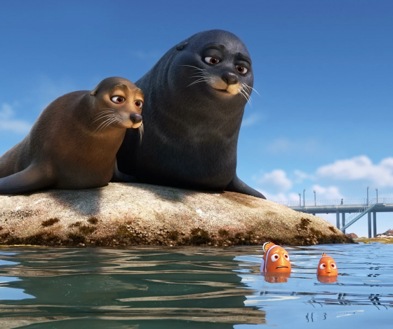 Тюлень из зоопарка Калининграда начал рисовать, чтобы справиться со стрессом