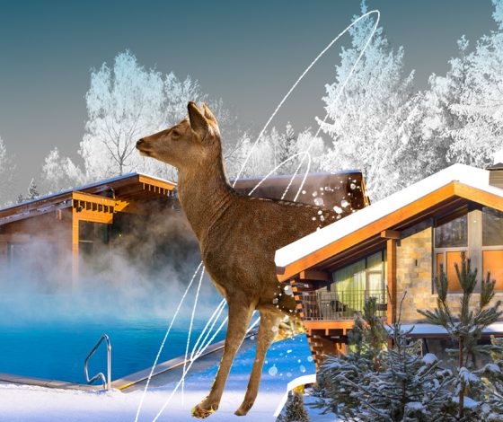 Как провести выходные, чтобы перезагрузиться