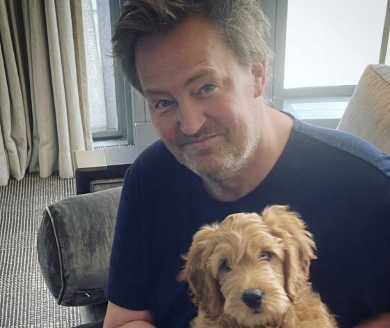 Фанаты обеспокоены судьбой пса Мэттью Перри. Рассказываем об известных питомцах звезд