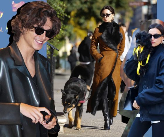 От парных луков Эмили Ратаковски с собакой до дерзкого Тимоти Шаламе: 5 лучших образов недели