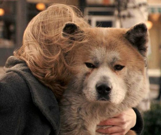 11-летний пес занимается дайвингом и живет свою лучшую жизнь