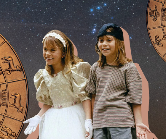 Знаки зодиака похожие между собой по характеру