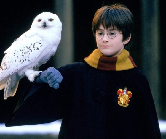 Тест: какой питомец из «Гарри Поттера» тебе подходит?