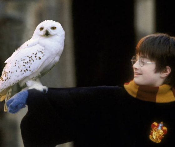 Опубликован первый кадр со съемок сериала по «Гарри Поттеру»
