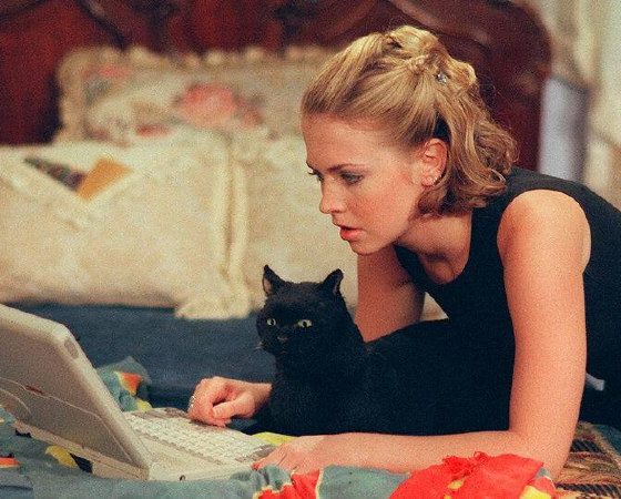 10 знаменитых животных-актеров, которых мы все обожаем