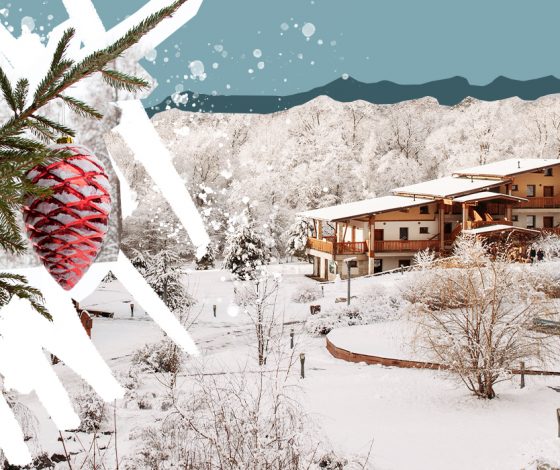 Ретрит в лесу: как провести выходные, чтобы действительно отдохнуть