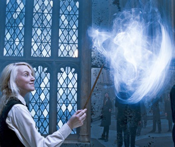 Девушка научила свою собаку 15 заклинаниям из «Гарри Поттера»: видео