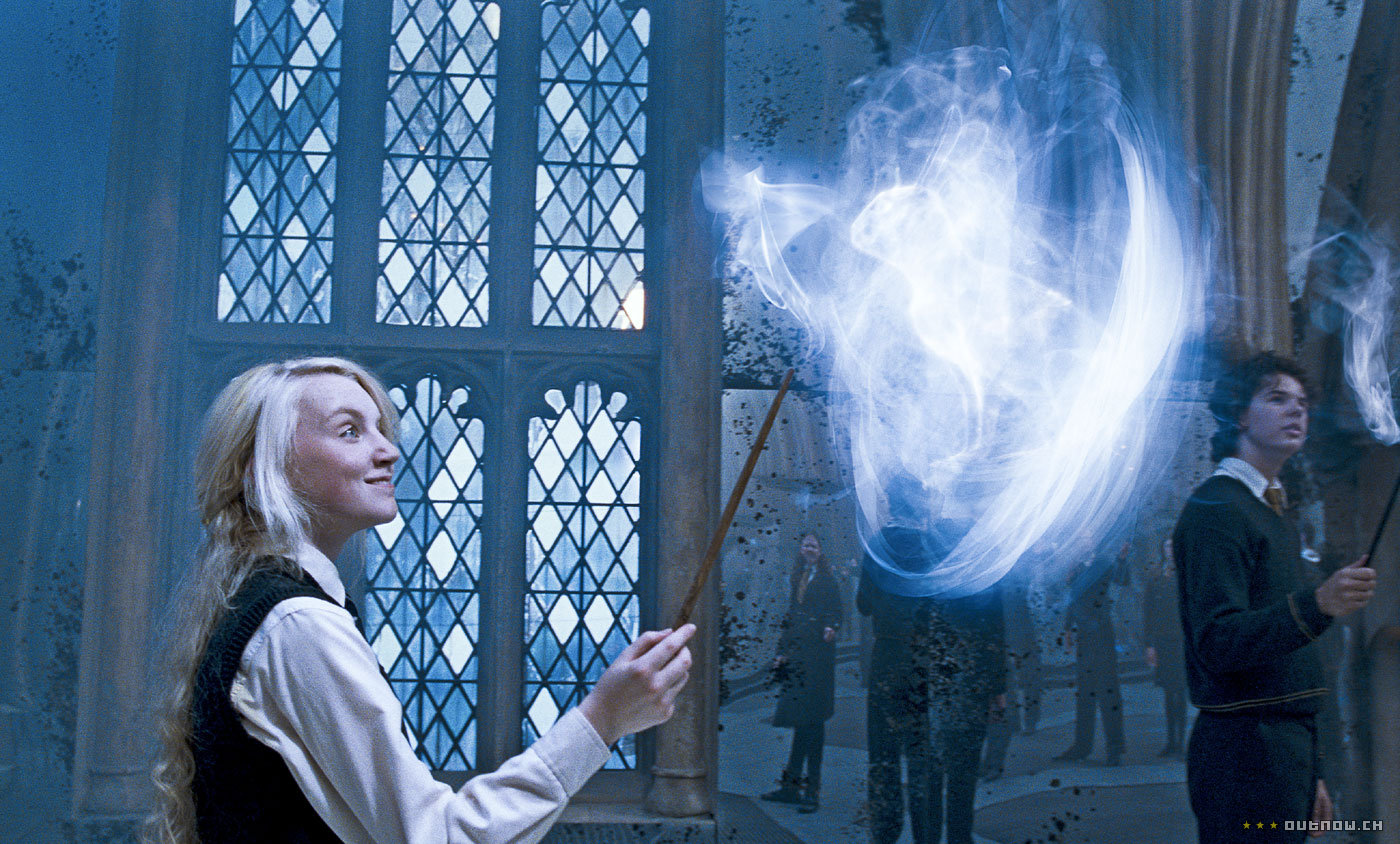 A girl taught her dog 15 spells from Harry Potter: video